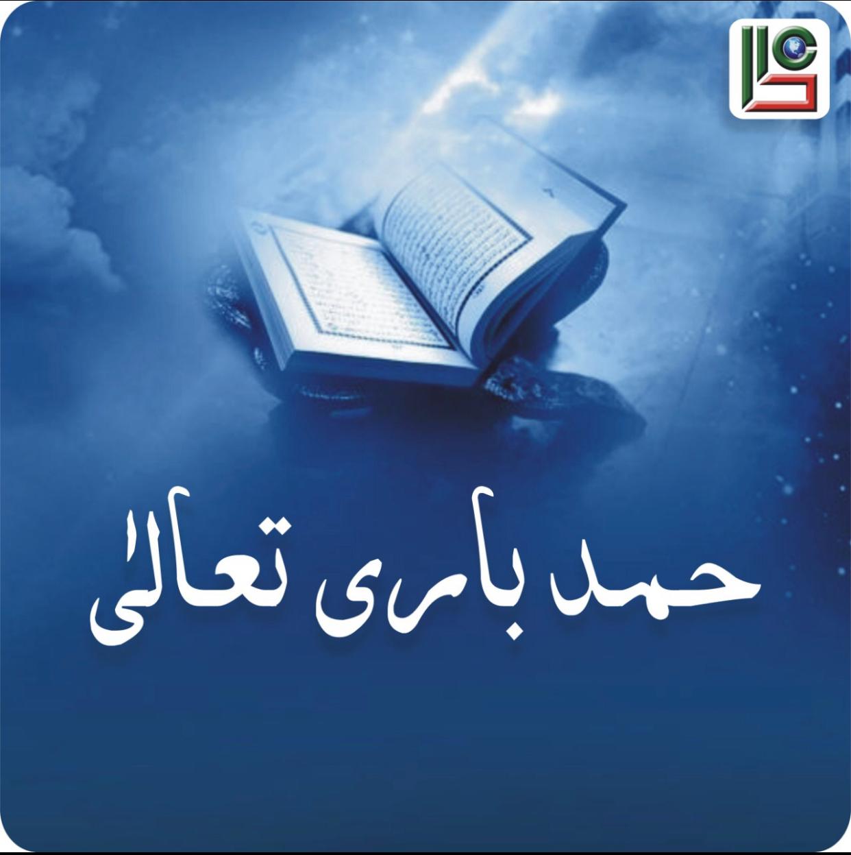 WhatsApp Image 2025-06-24 at 5.46.06 AM