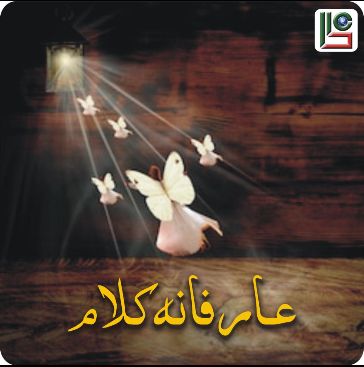 WhatsApp Image 2025-06-24 at 5.46.07 AM (7)