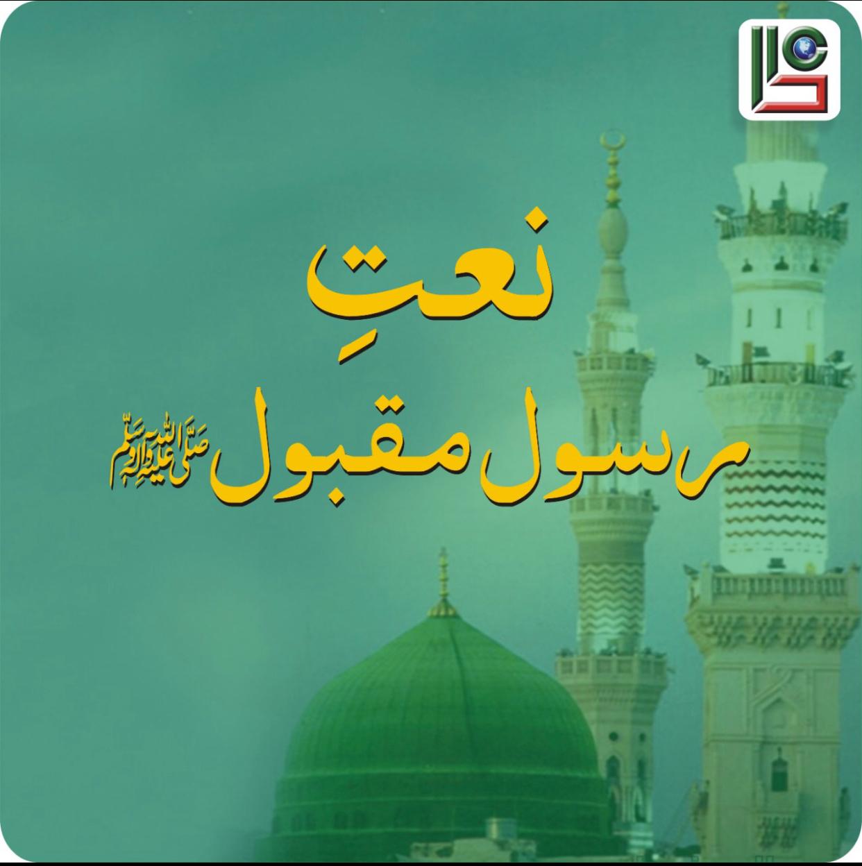 WhatsApp Image 2025-06-24 at 5.46.07 AM